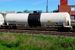 DPRX 259205